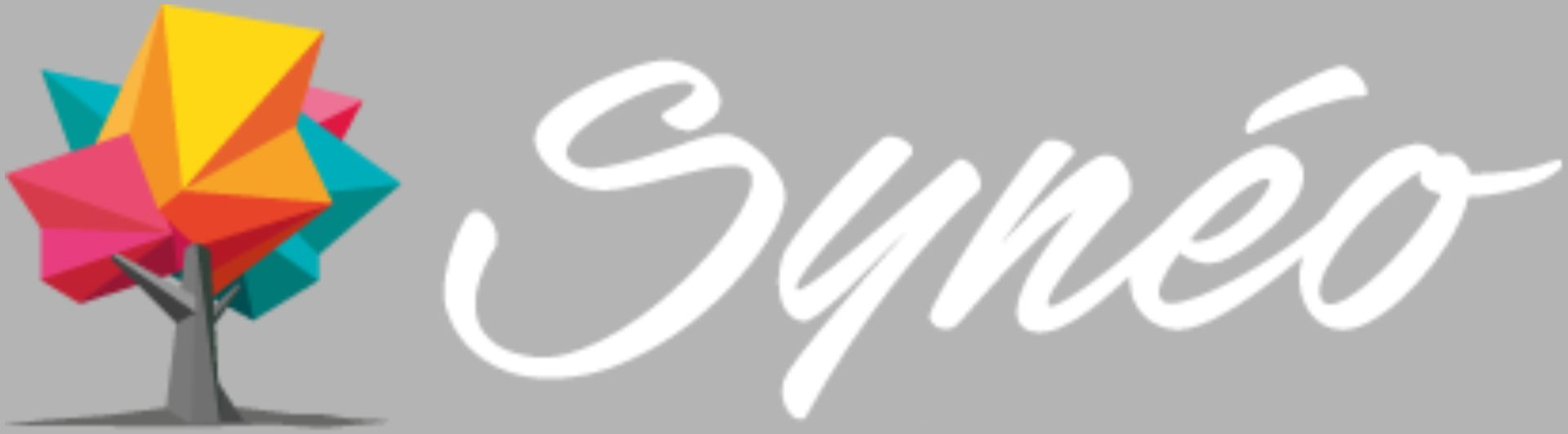 Logo partenaire 3